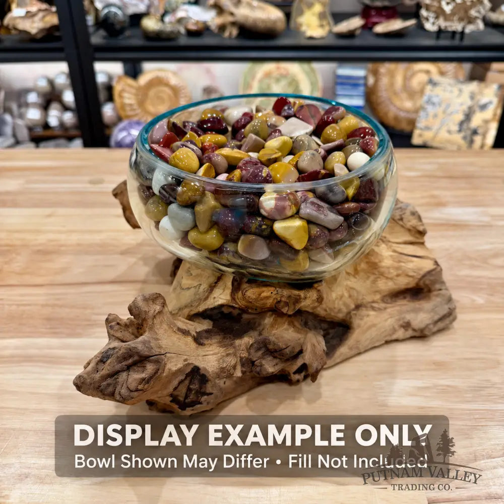 Molten Glass Bowl on Indonesian Driftwood 6.1’’ - Bowl