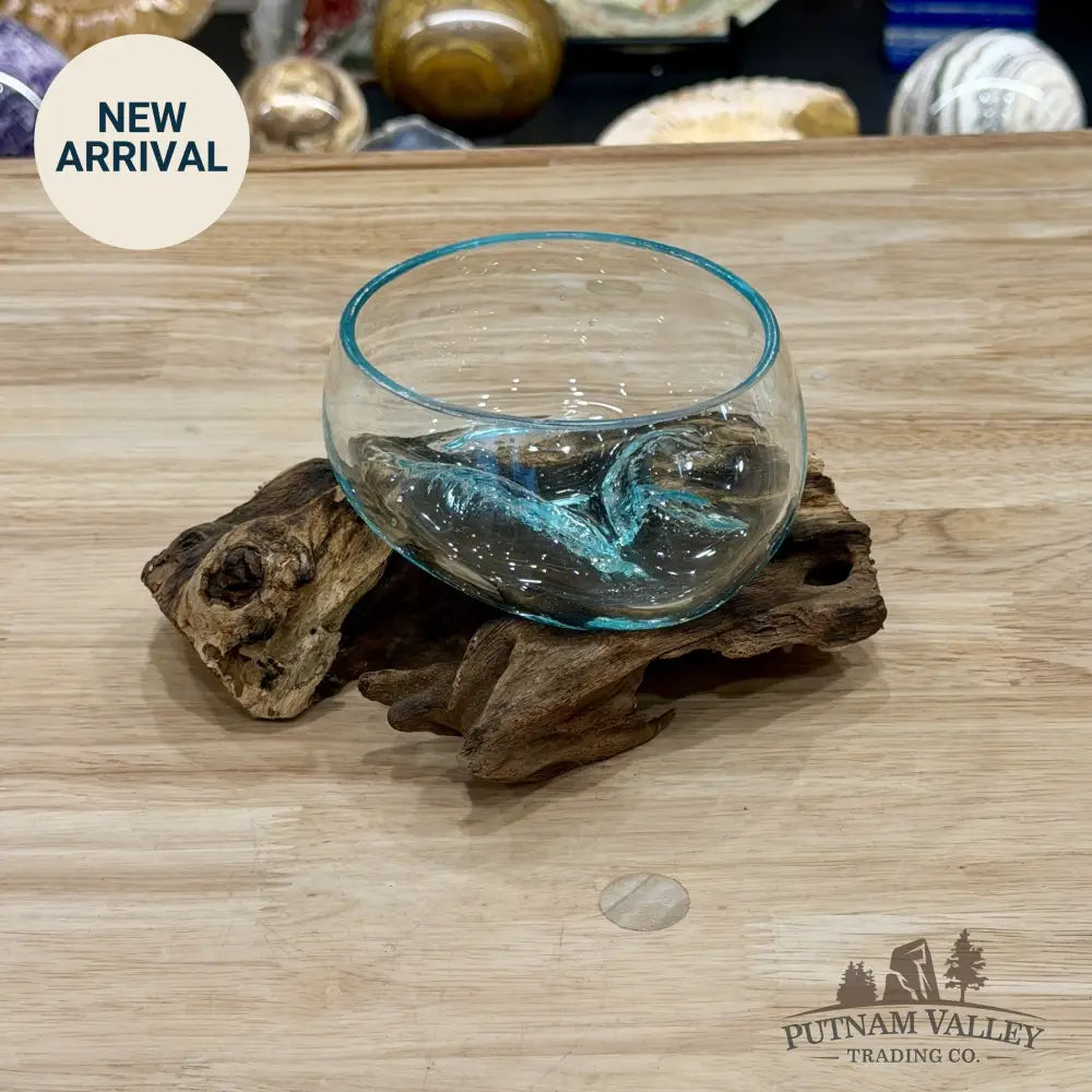 Molten Glass Bowl on Indonesian Driftwood 6.1’’ - Bowl