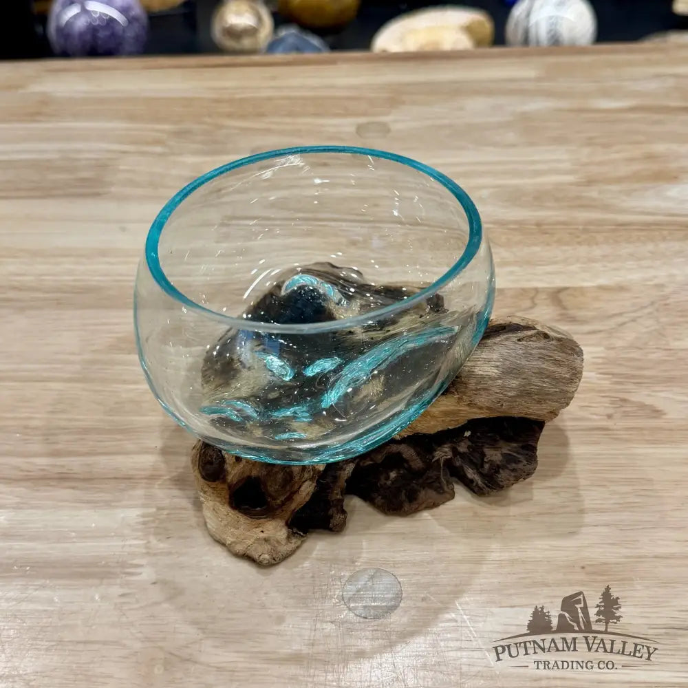 Molten Glass Bowl on Indonesian Driftwood 6.1’’ - Bowl