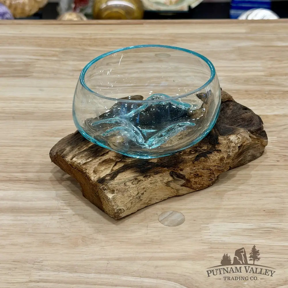 Molten Glass Bowl on Indonesian Driftwood 6.1’’ - Bowl