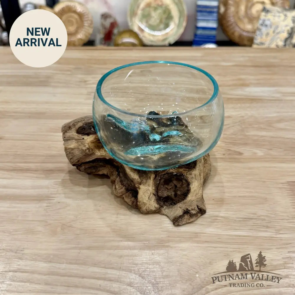 Molten Glass Bowl on Indonesian Driftwood 6.1’’ - Bowl