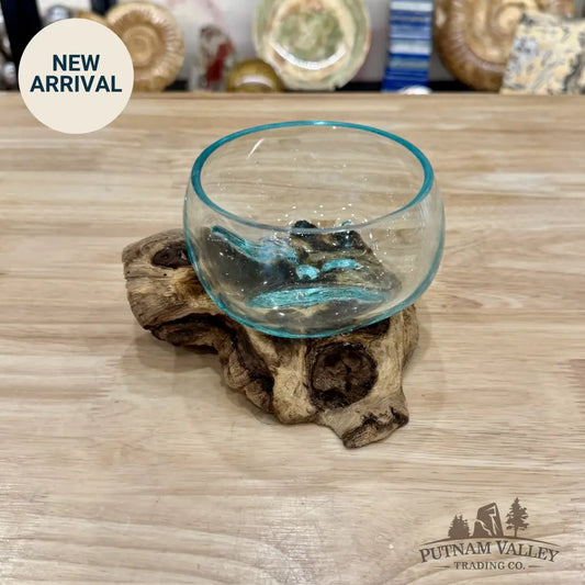 Molten Glass Bowl on Indonesian Driftwood 6.1’’ - Bowl