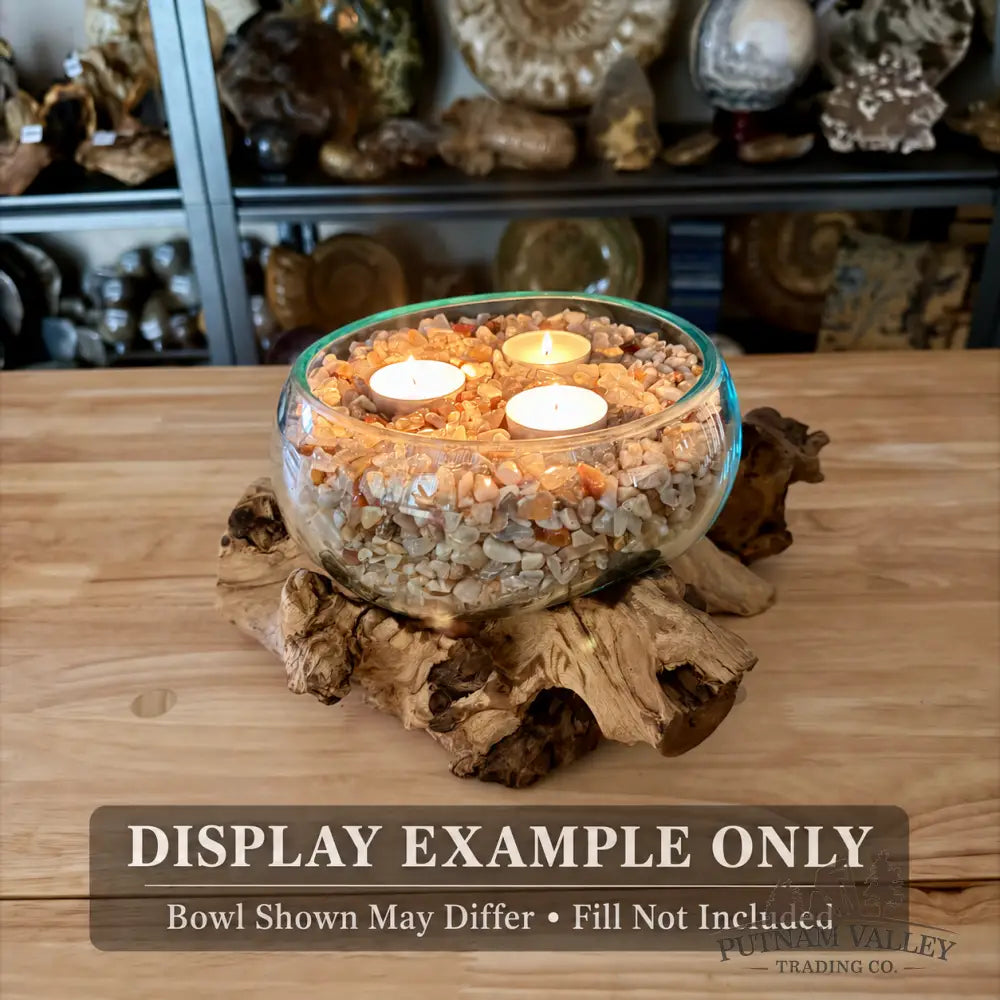 Molten Glass Bowl on Indonesian Driftwood 6.1’’ - Bowl