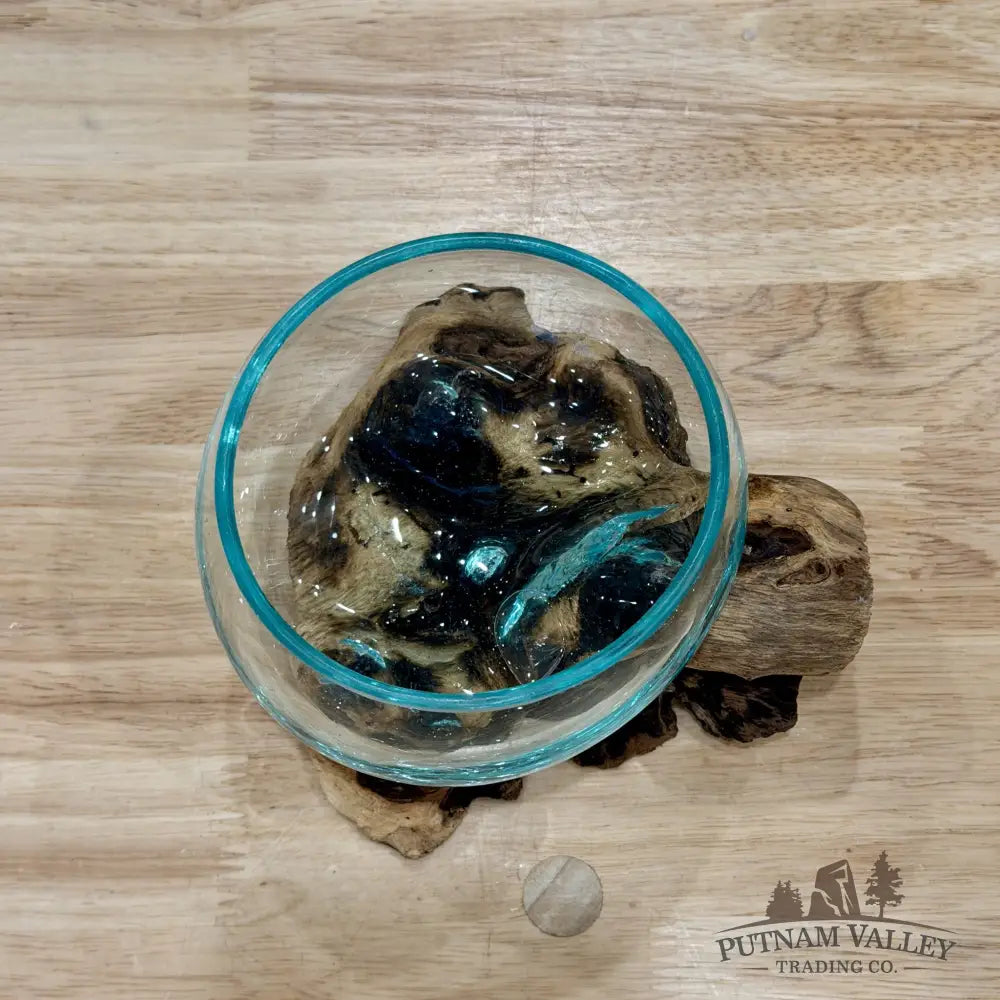 Molten Glass Bowl on Indonesian Driftwood 6.1’’ - Bowl