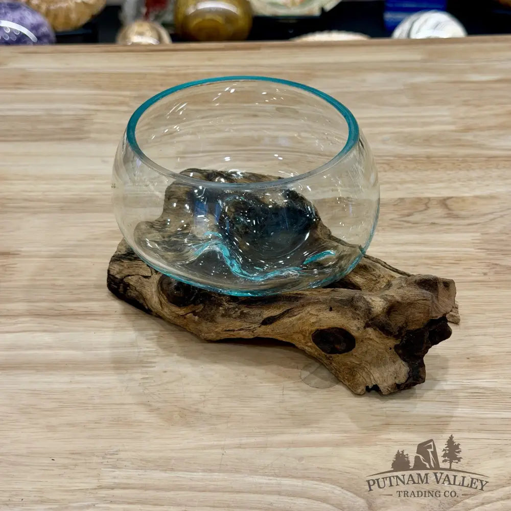 Molten Glass Bowl on Indonesian Driftwood 7.1’’ - Bowl