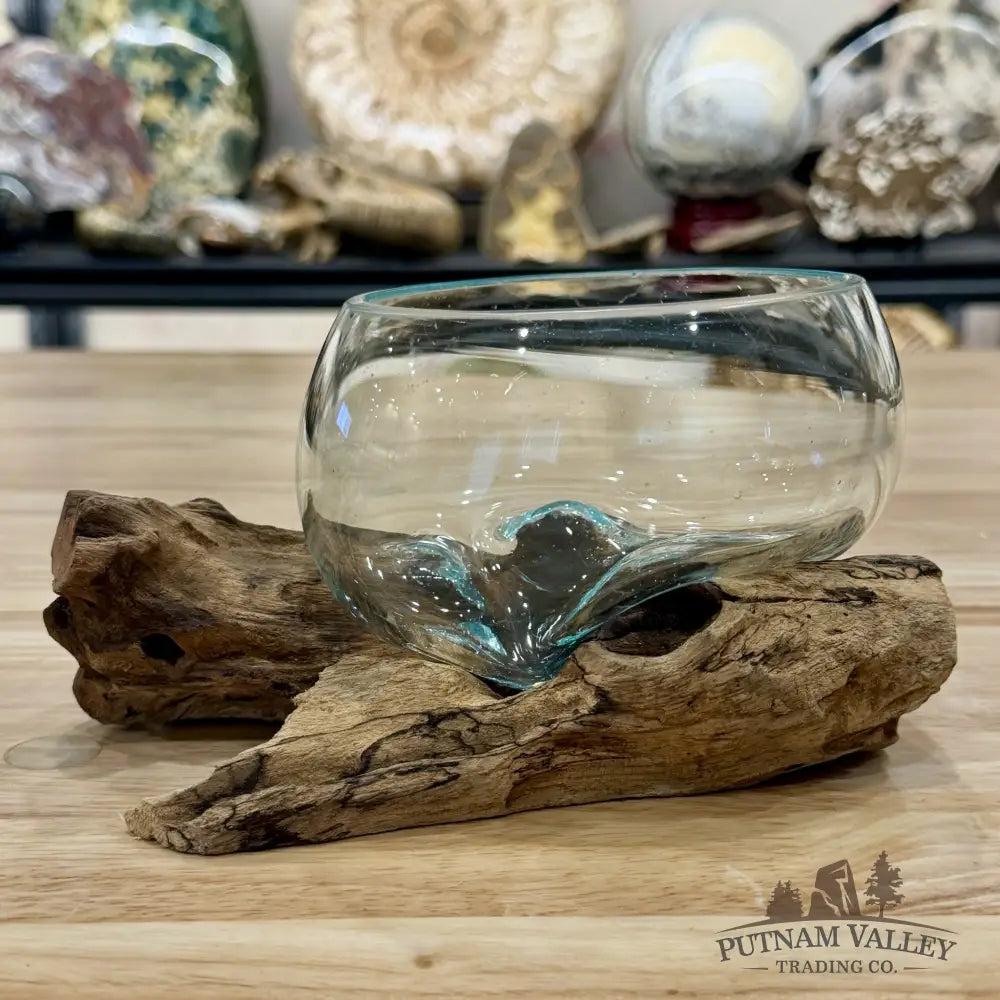 Molten Glass Bowl on Indonesian Driftwood 7.1’’ - Bowl