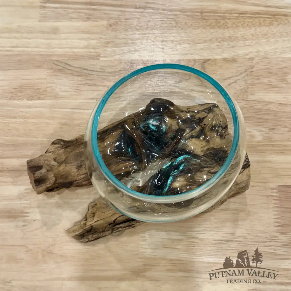 Molten Glass Bowl on Indonesian Driftwood 7.1’’ - Bowl