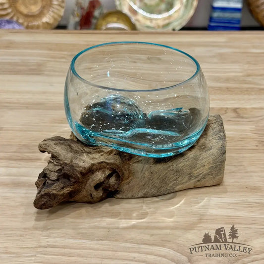 Molten Glass Bowl on Indonesian Driftwood 7’’ - Bowl