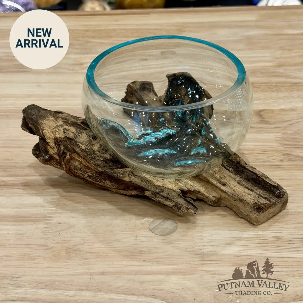 Molten Glass Bowl on Indonesian Driftwood 7.6’’ - Bowl