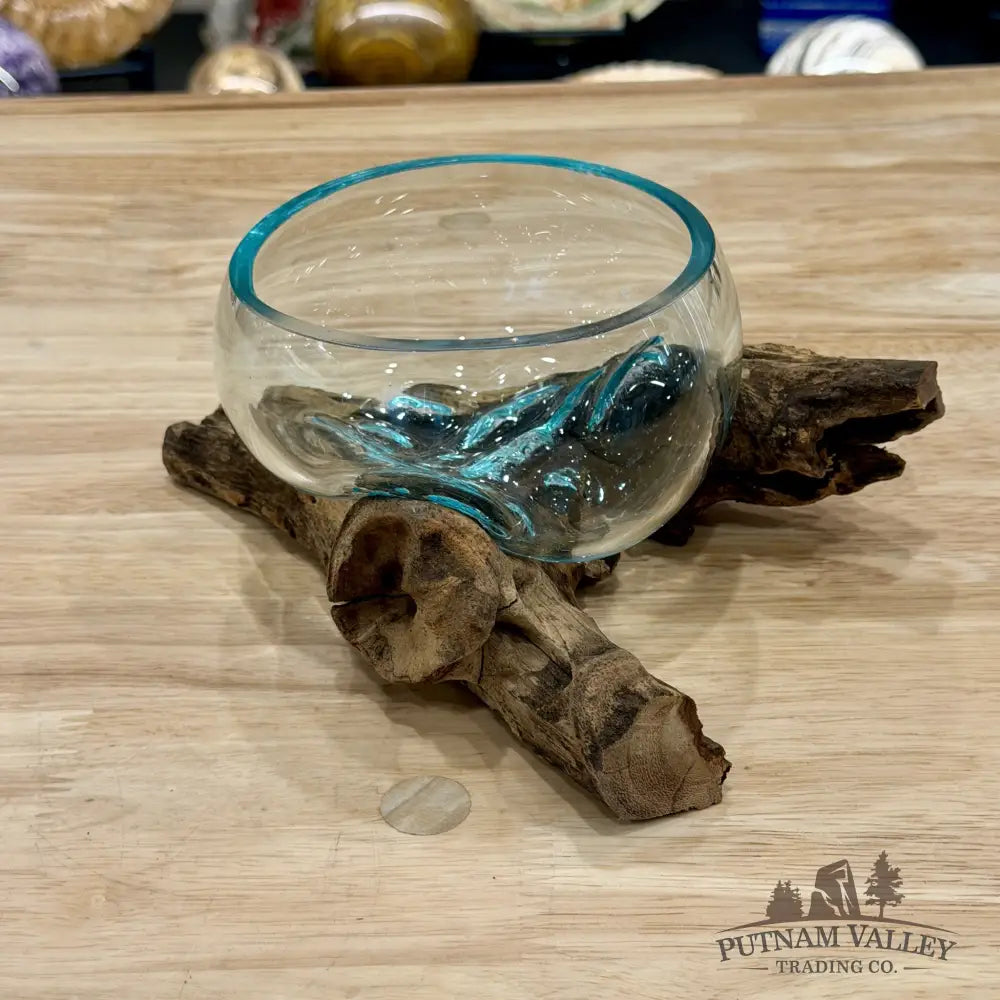 Molten Glass Bowl on Indonesian Driftwood 7.6’’ - Bowl