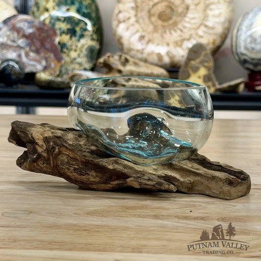 Molten Glass Bowl on Indonesian Driftwood 7.6’’ - Bowl