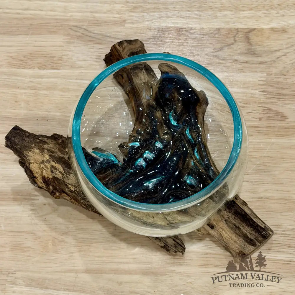 Molten Glass Bowl on Indonesian Driftwood 7.6’’ - Bowl