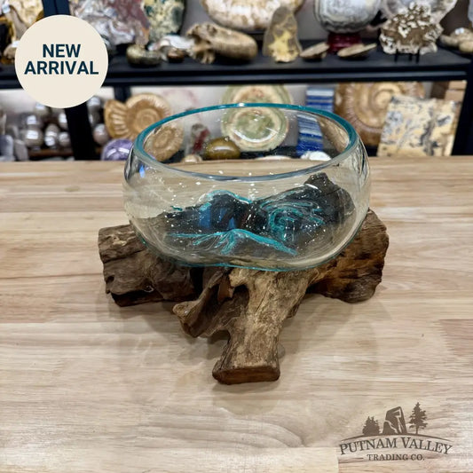 Molten Glass Bowl on Indonesian Driftwood 9.3’’ - Bowl