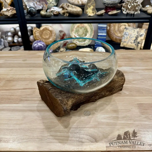 Molten Glass Bowl on Indonesian Driftwood 9.3’’ - Bowl