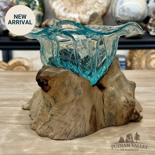 Molten Glass Flared Bowl on Indonesian Driftwood 7.7’’ - Bowl