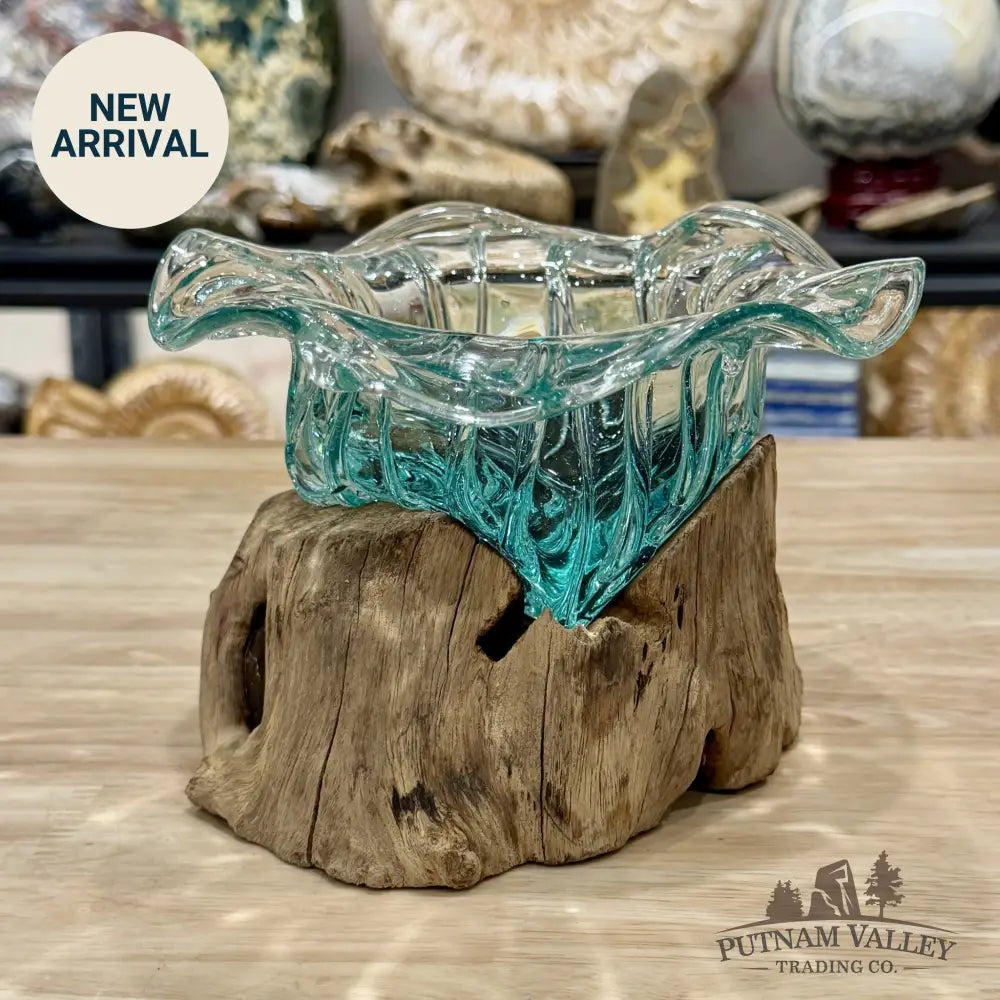 Molten Glass Flared Bowl on Indonesian Driftwood 7.5’’ - Bowl