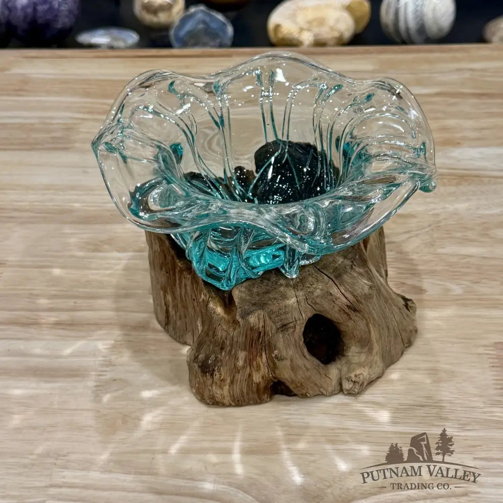 Molten Glass Flared Bowl on Indonesian Driftwood 7.5’’ - Bowl