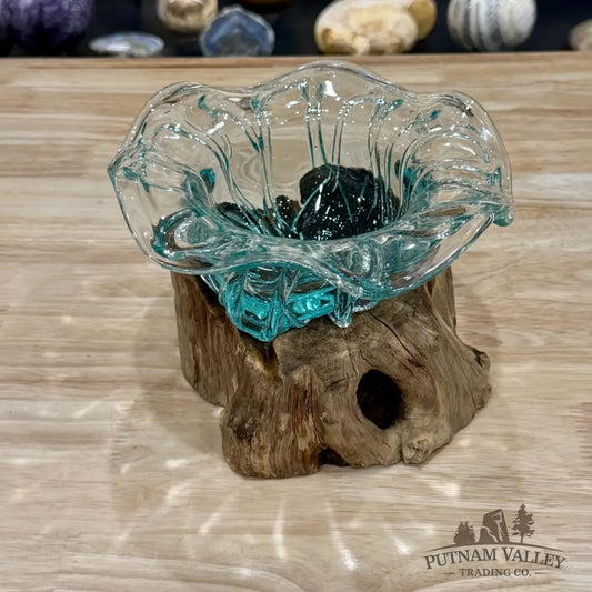 Molten Glass Flared Bowl on Indonesian Driftwood 7.5’’ - Bowl