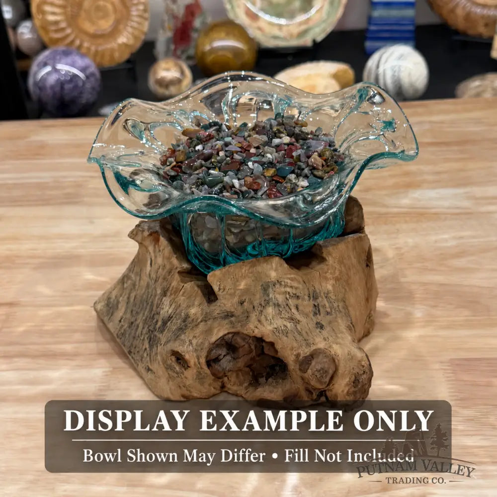 Molten Glass Flared Bowl on Indonesian Driftwood 7.5’’ - Bowl