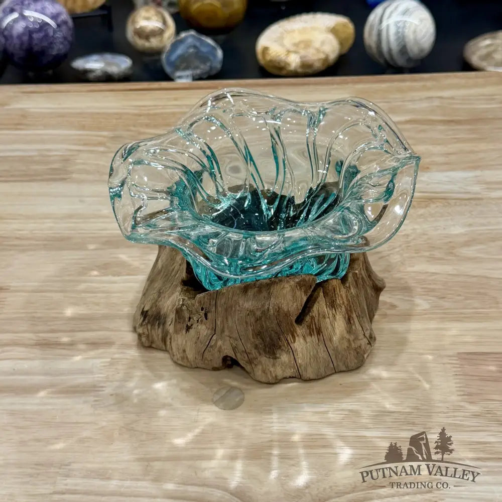 Molten Glass Flared Bowl on Indonesian Driftwood 7.5’’ - Bowl