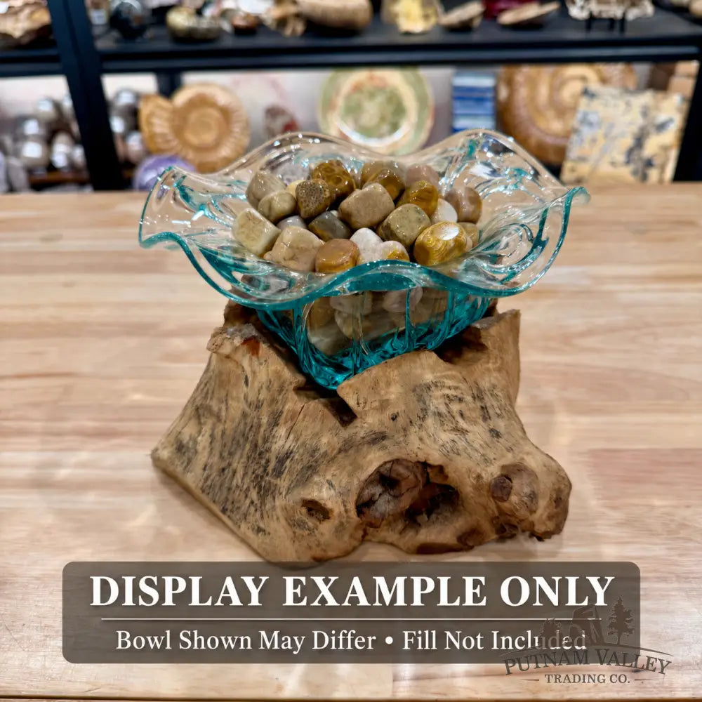 Molten Glass Flared Bowl on Indonesian Driftwood 7.5’’ - Bowl
