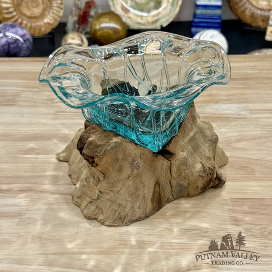 Molten Glass Flared Bowl on Indonesian Driftwood 7.7’’ - Bowl