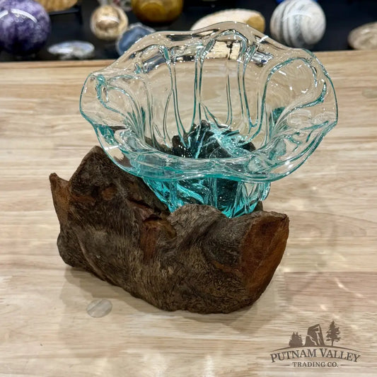 Molten Glass Flared Bowl on Indonesian Driftwood 8.5’’ - Bowl