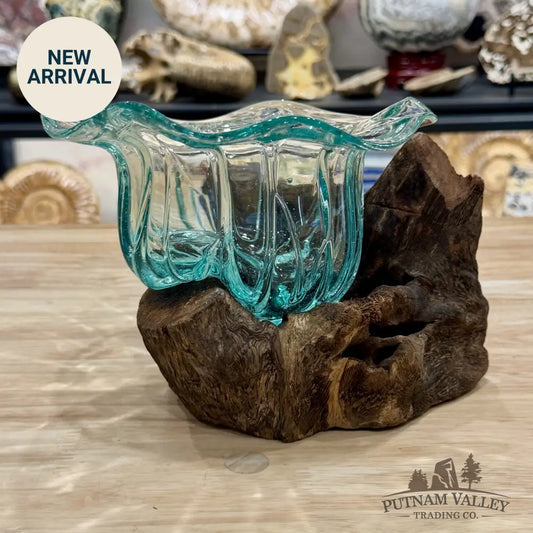 Molten Glass Flared Bowl on Indonesian Driftwood 8.5’’ - Bowl
