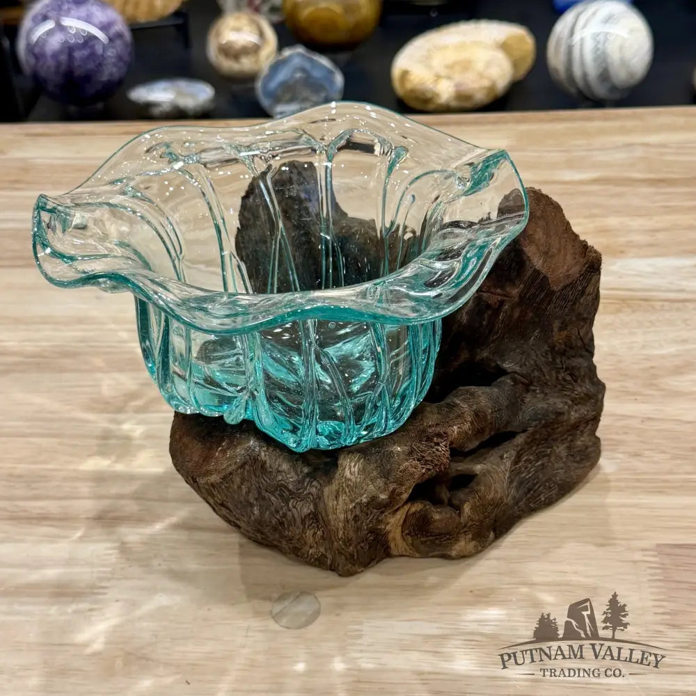 Molten Glass Flared Bowl on Indonesian Driftwood 8.5’’ - Bowl