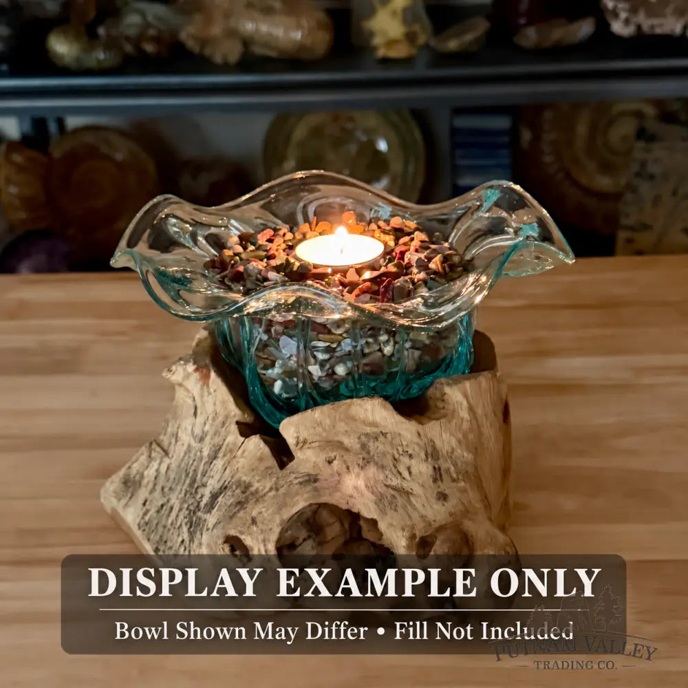 Molten Glass Flared Bowl on Indonesian Driftwood 8.6’’ - Bowl