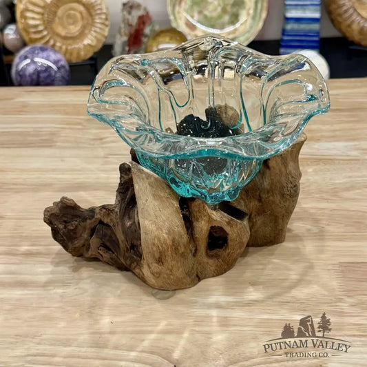 Molten Glass Flared Bowl on Indonesian Driftwood 8.6’’ - Bowl