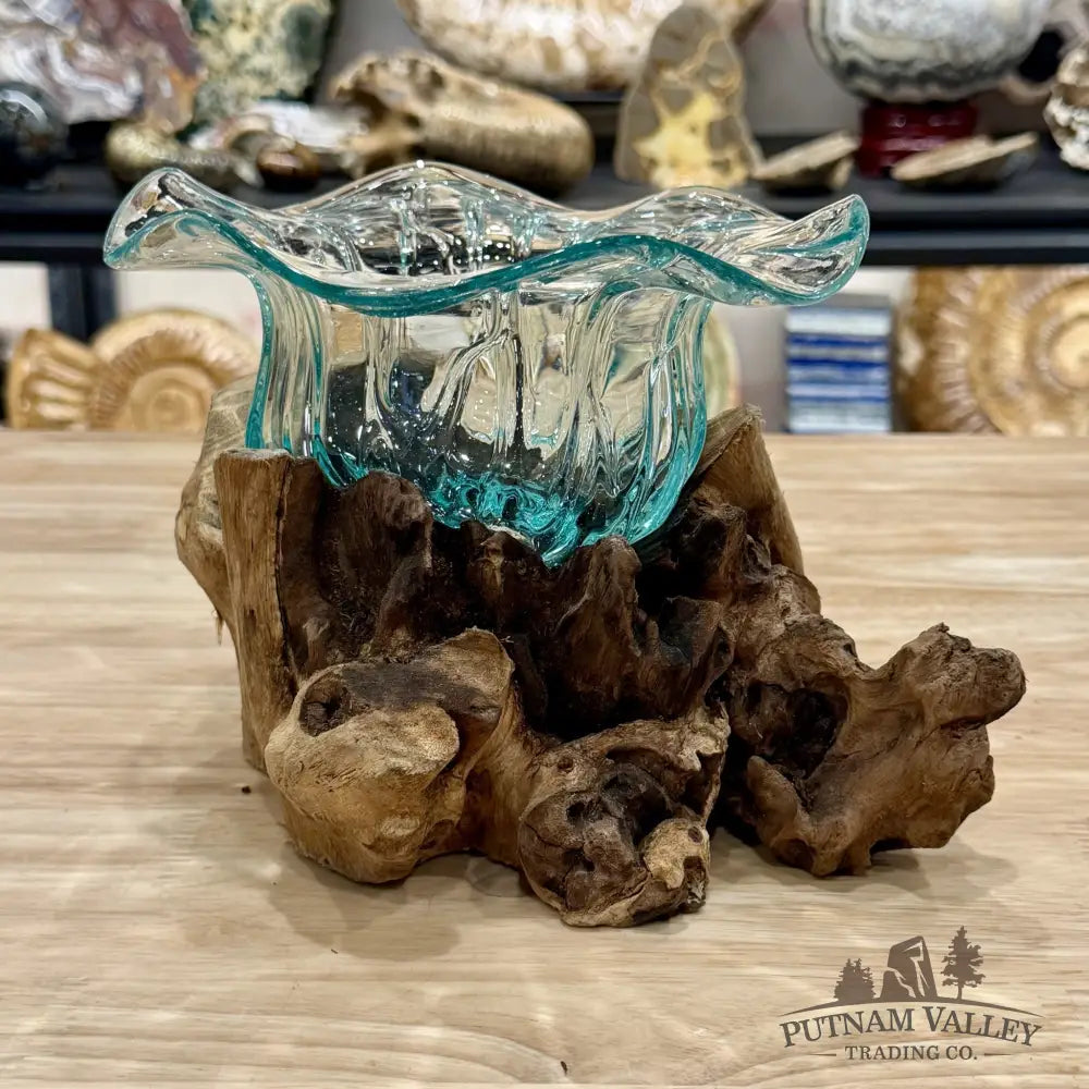 Molten Glass Flared Bowl on Indonesian Driftwood 8.6’’ - Bowl