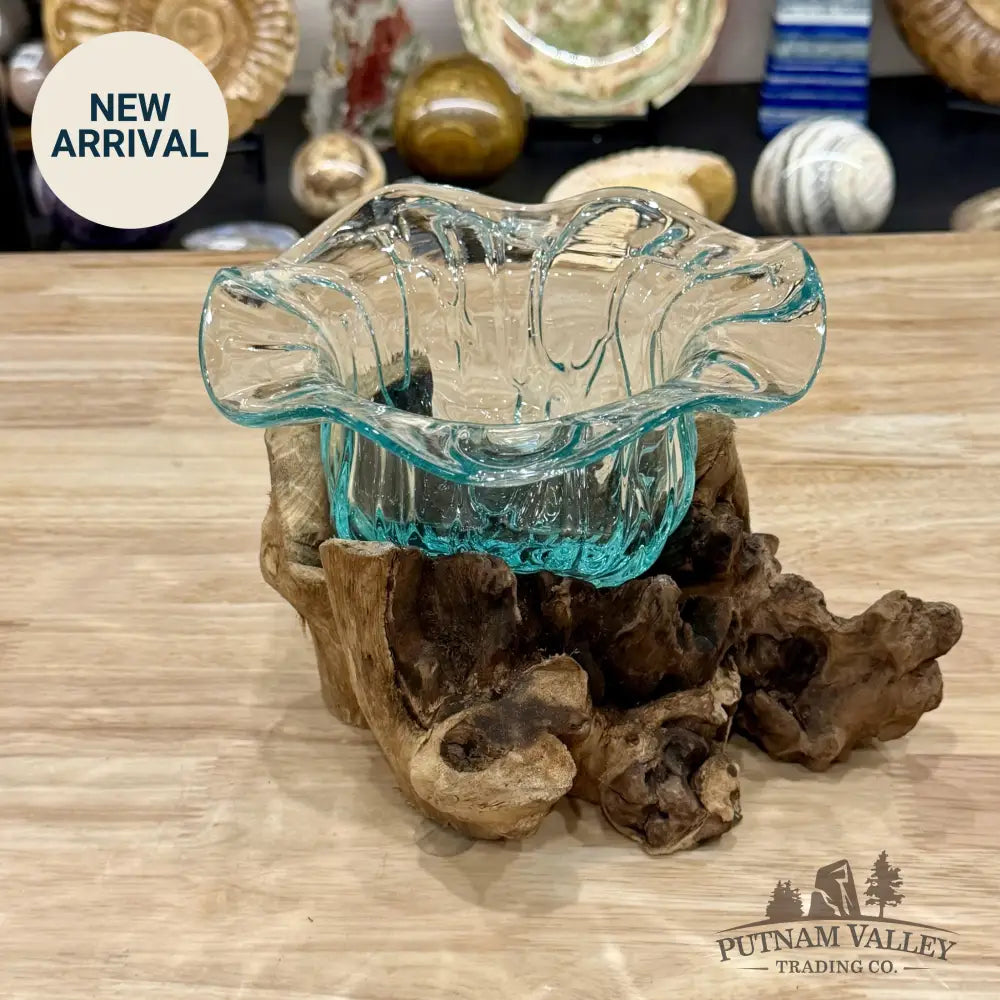 Molten Glass Flared Bowl on Indonesian Driftwood 8.6’’ - Bowl