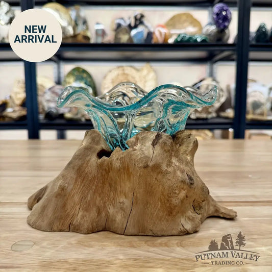 Molten Glass Flared Bowl on Indonesian Driftwood 9.5’’ - Bowl