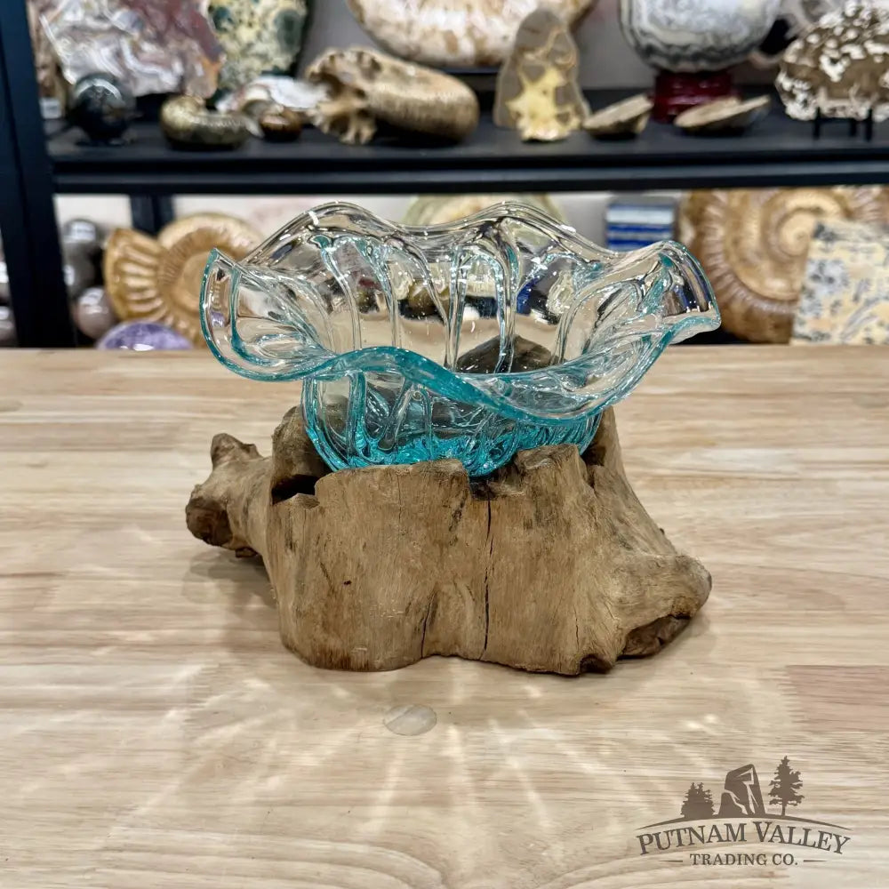 Molten Glass Flared Bowl on Indonesian Driftwood 9’’ - Bowl
