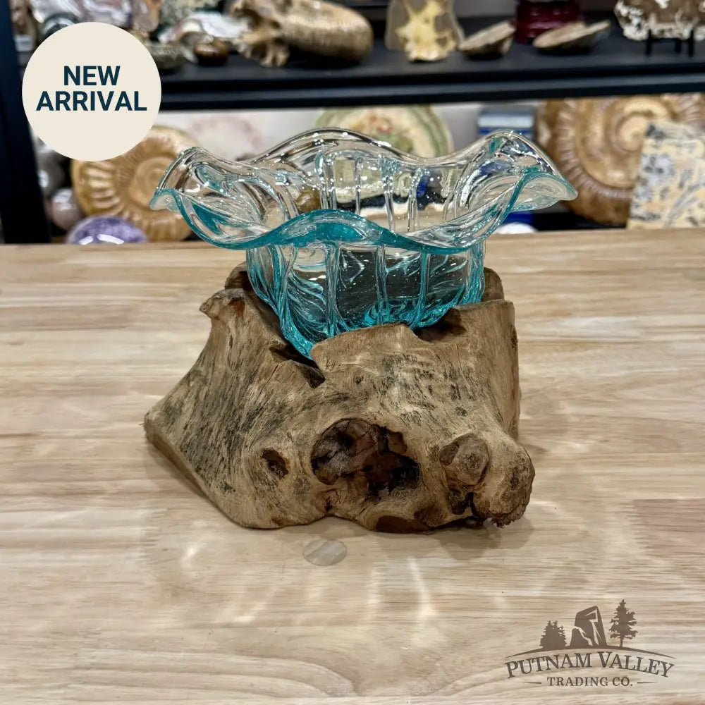Molten Glass Flared Bowl on Indonesian Driftwood 9’’ - Bowl