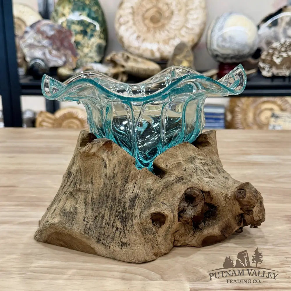 Molten Glass Flared Bowl on Indonesian Driftwood 9’’ - Bowl