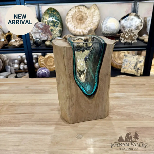 Molten Glass Vase on Indonesian Driftwood - Vase