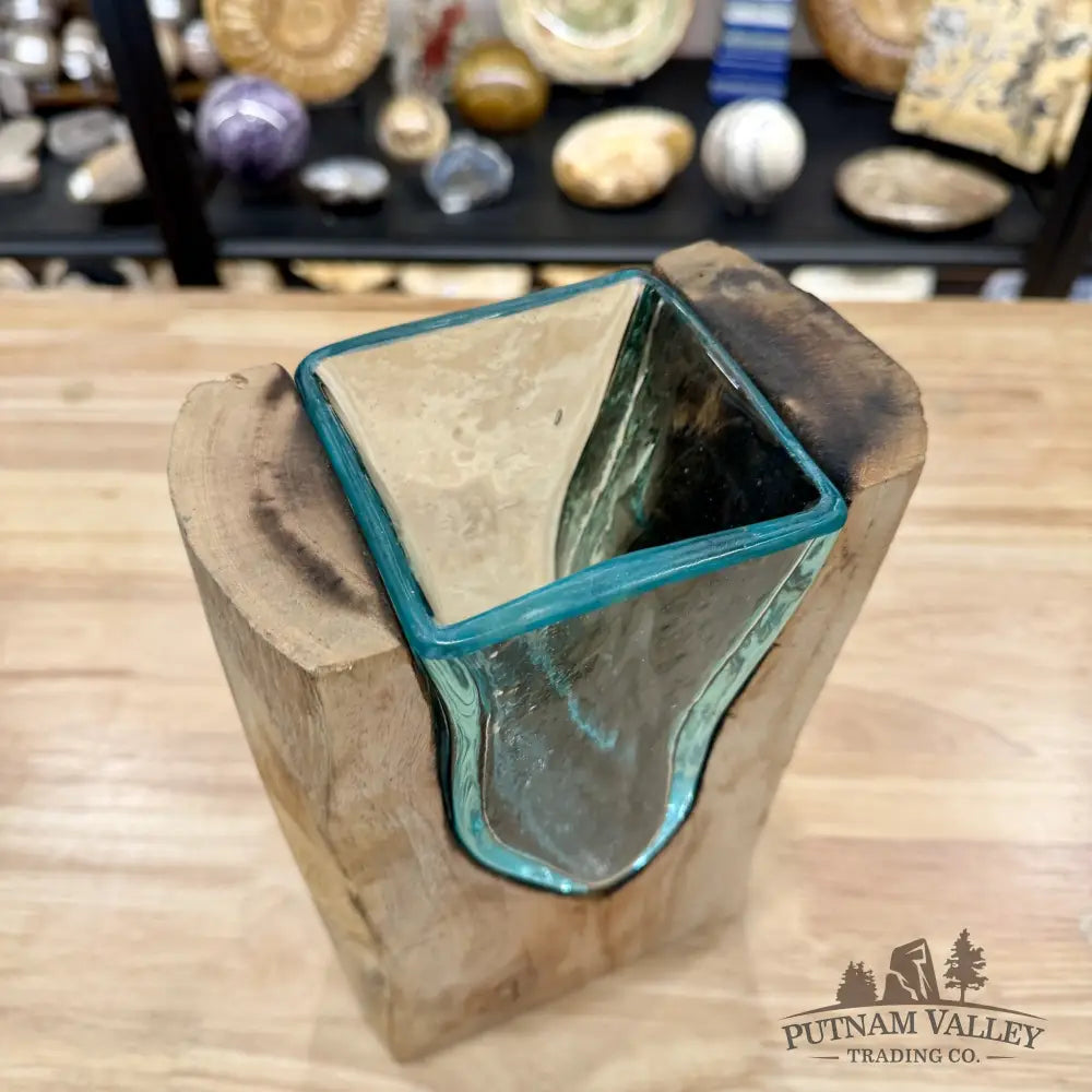 Molten Glass Vase on Indonesian Driftwood - Vase