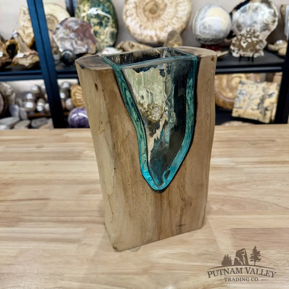 Molten Glass Vase on Indonesian Driftwood - Vase