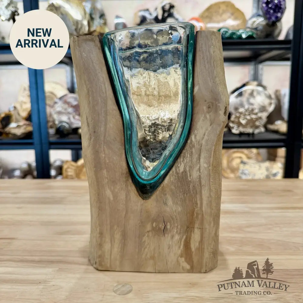 Molten Glass Vase on Indonesian Driftwood - Vase
