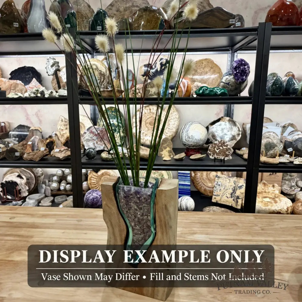 Molten Glass Vase on Indonesian Driftwood - Vase