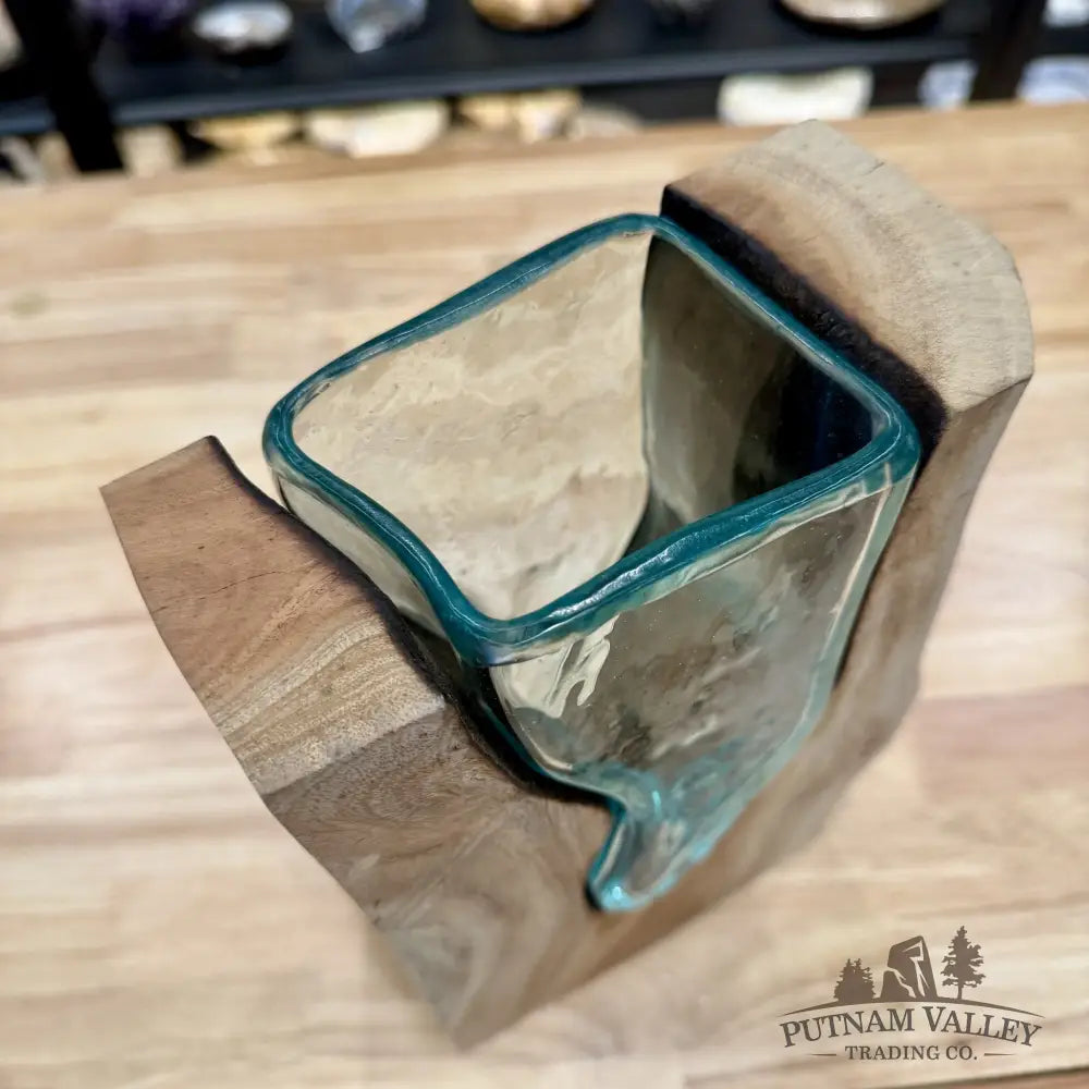 Molten Glass Vase on Indonesian Driftwood - Vase