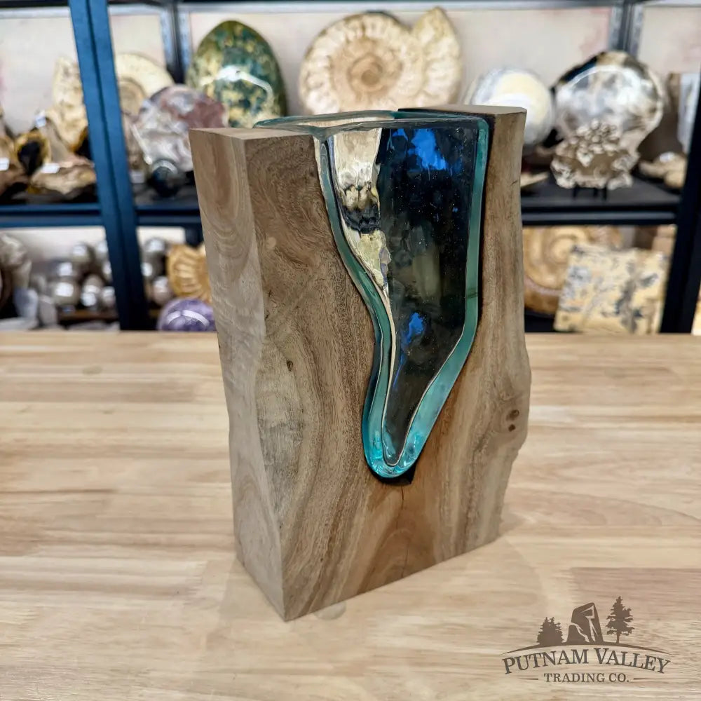 Molten Glass Vase on Indonesian Driftwood - Vase