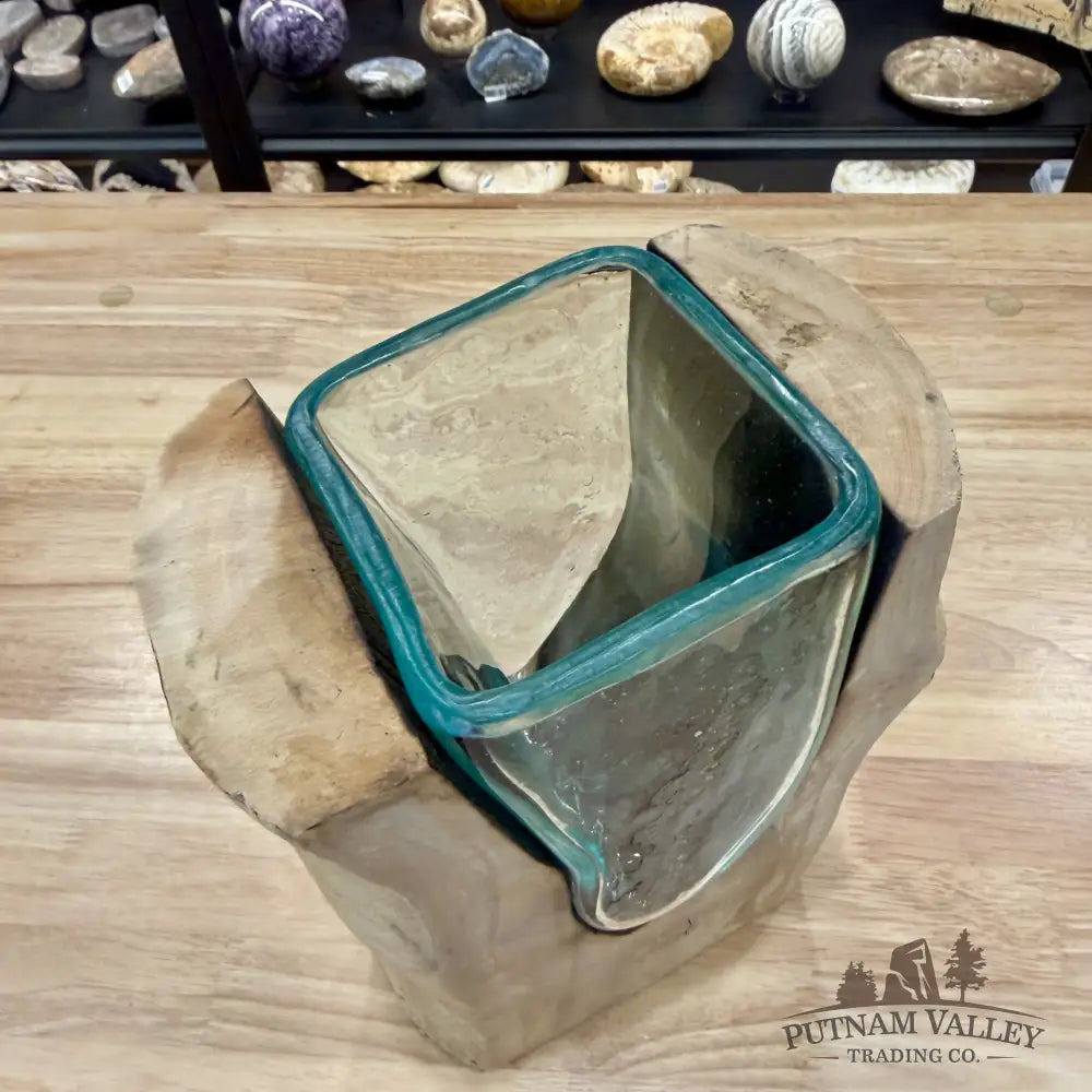 Molten Glass Vase on Indonesian Driftwood - Vase