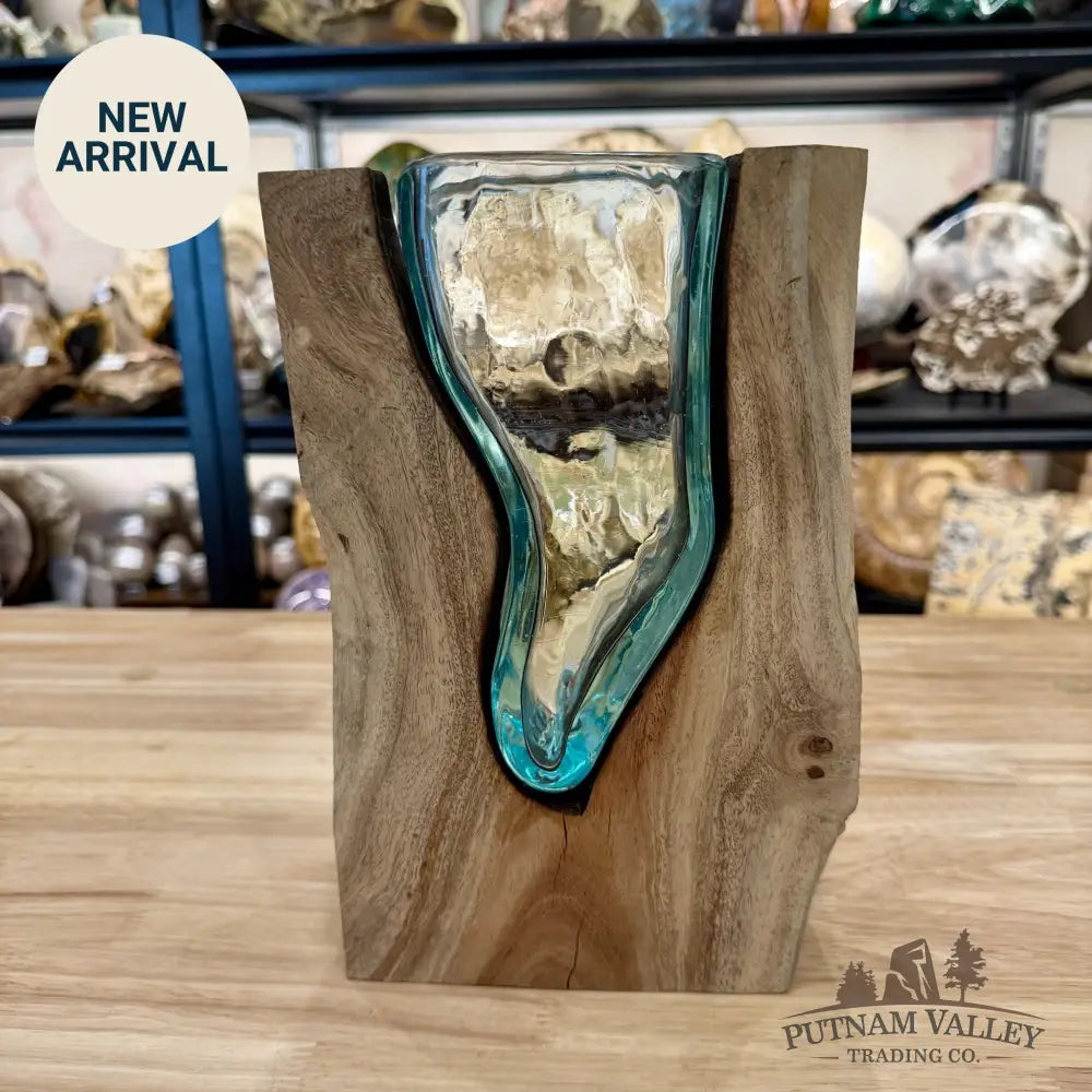 Molten Glass Vase on Indonesian Driftwood - Vase
