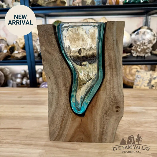 Molten Glass Vase on Indonesian Driftwood - Vase