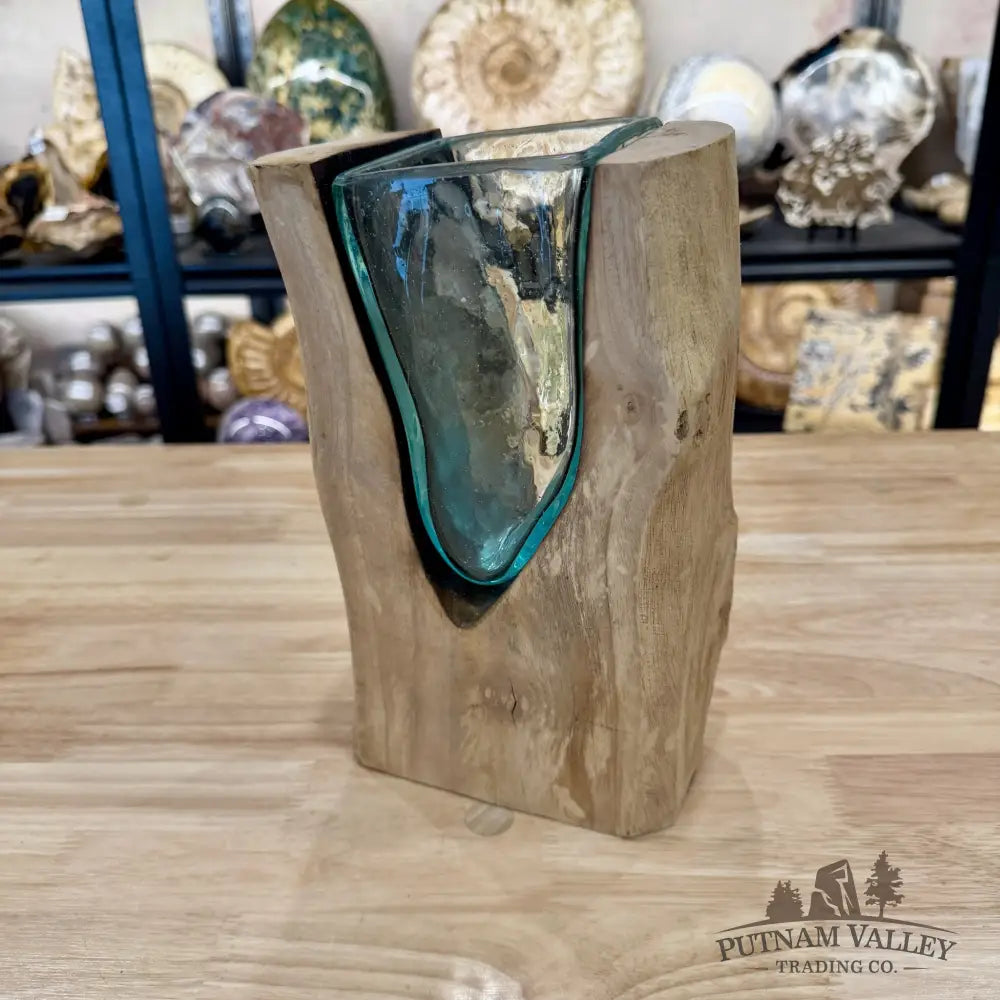 Molten Glass Vase on Indonesian Driftwood - Vase