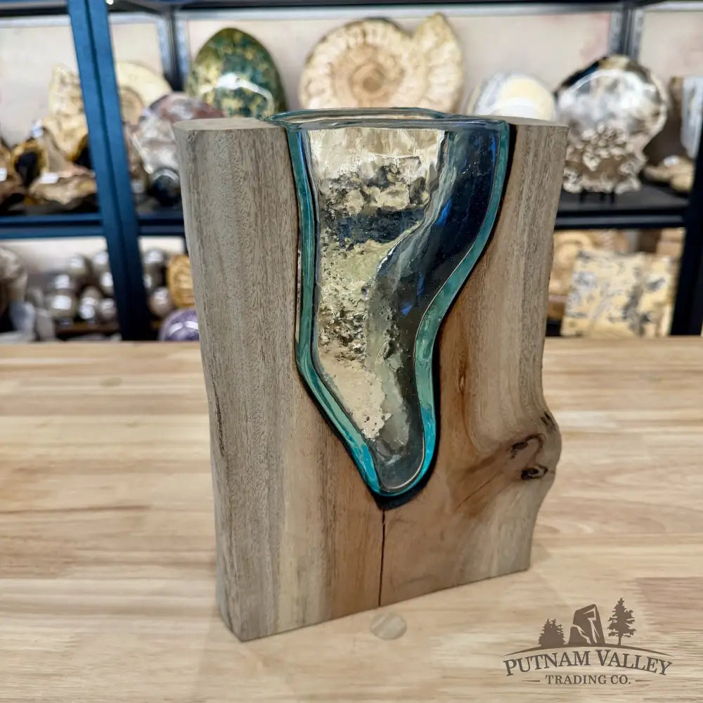Molten Glass Vase on Indonesian Driftwood - Vase