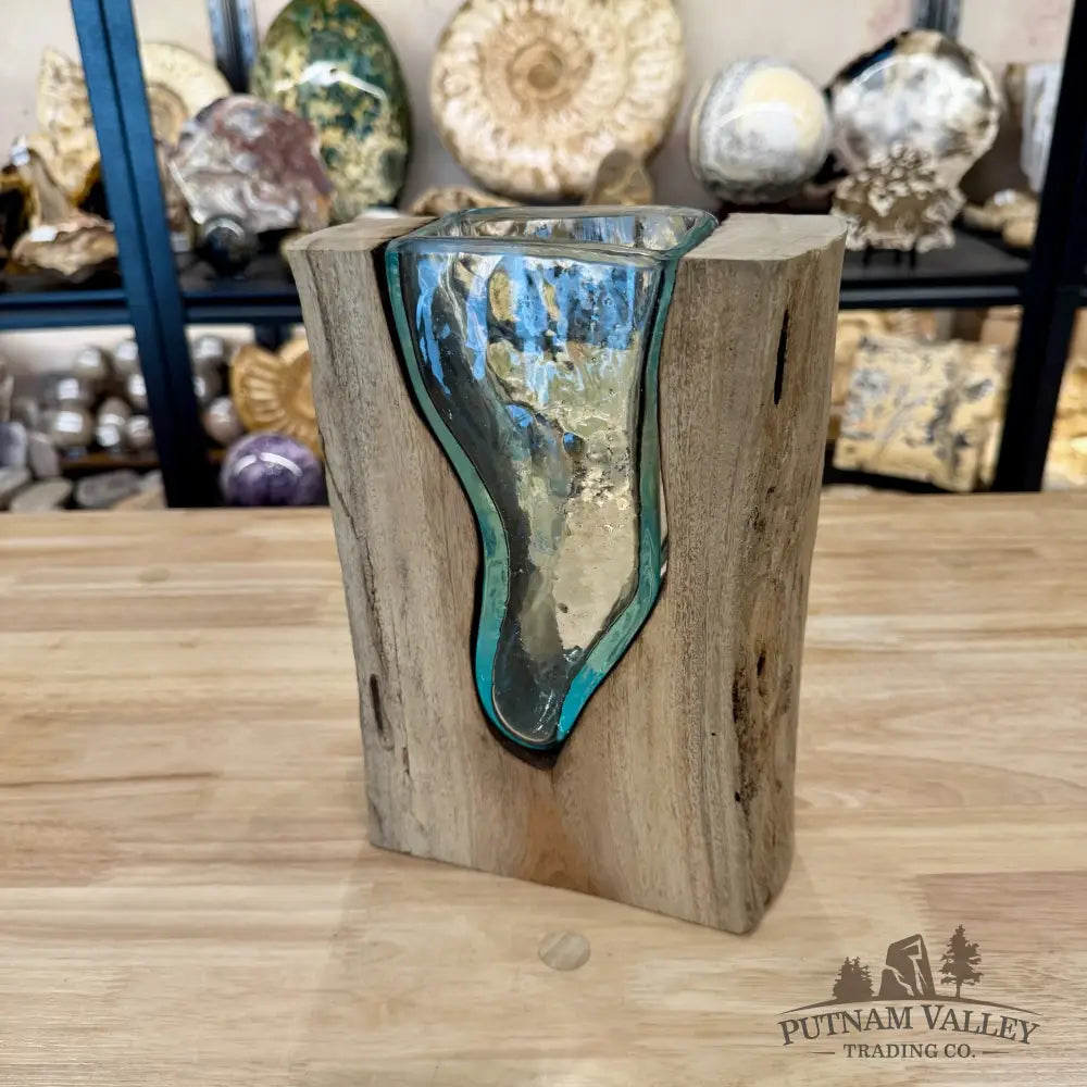 Molten Glass Vase on Indonesian Driftwood - Vase
